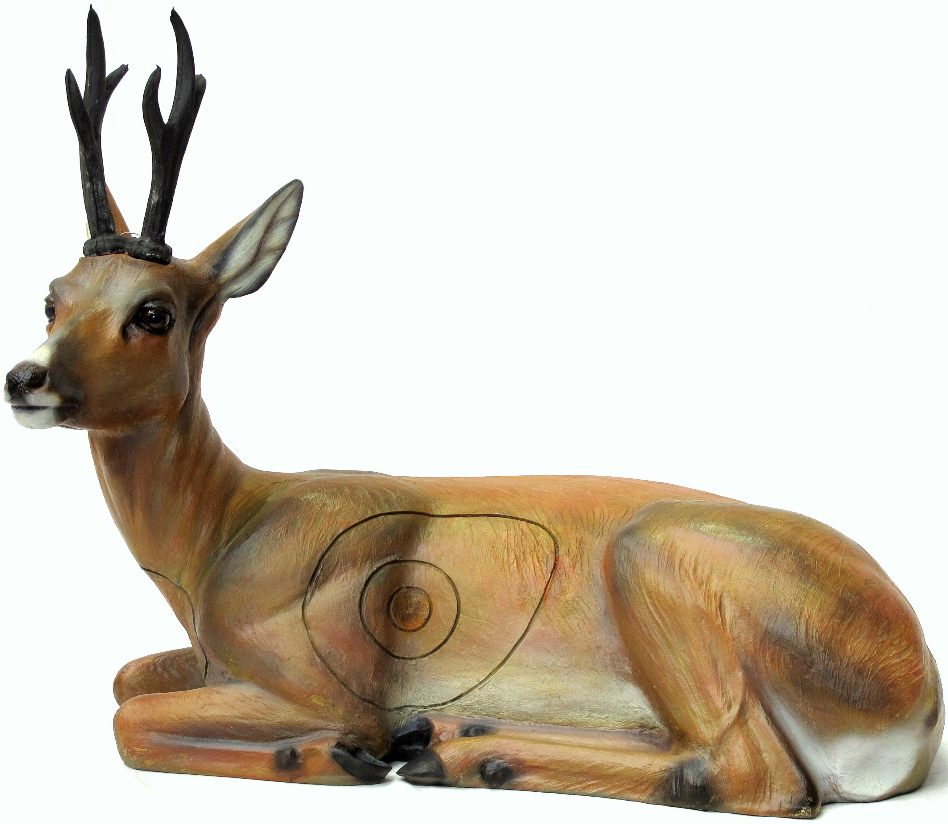 SRT 3-D Scheibe Rehbock, liegend