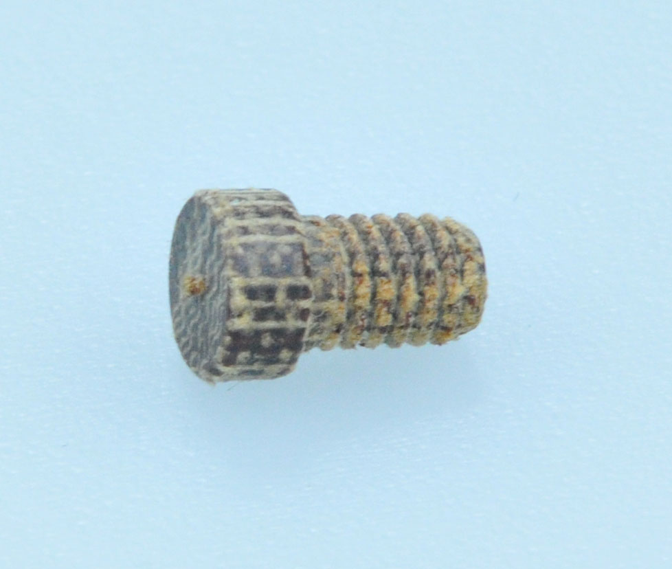 Spigarelli Buttontip