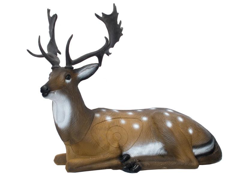 SRT 3-D Scheibe Fallow Deer, liegend