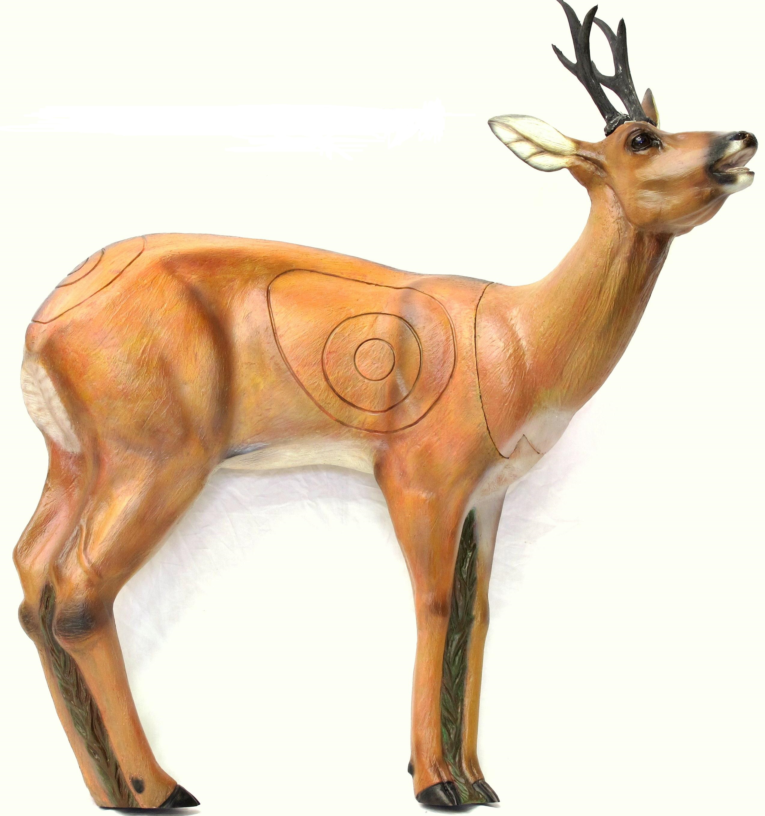 SRT 3-D Scheibe Rehbock, röhrend